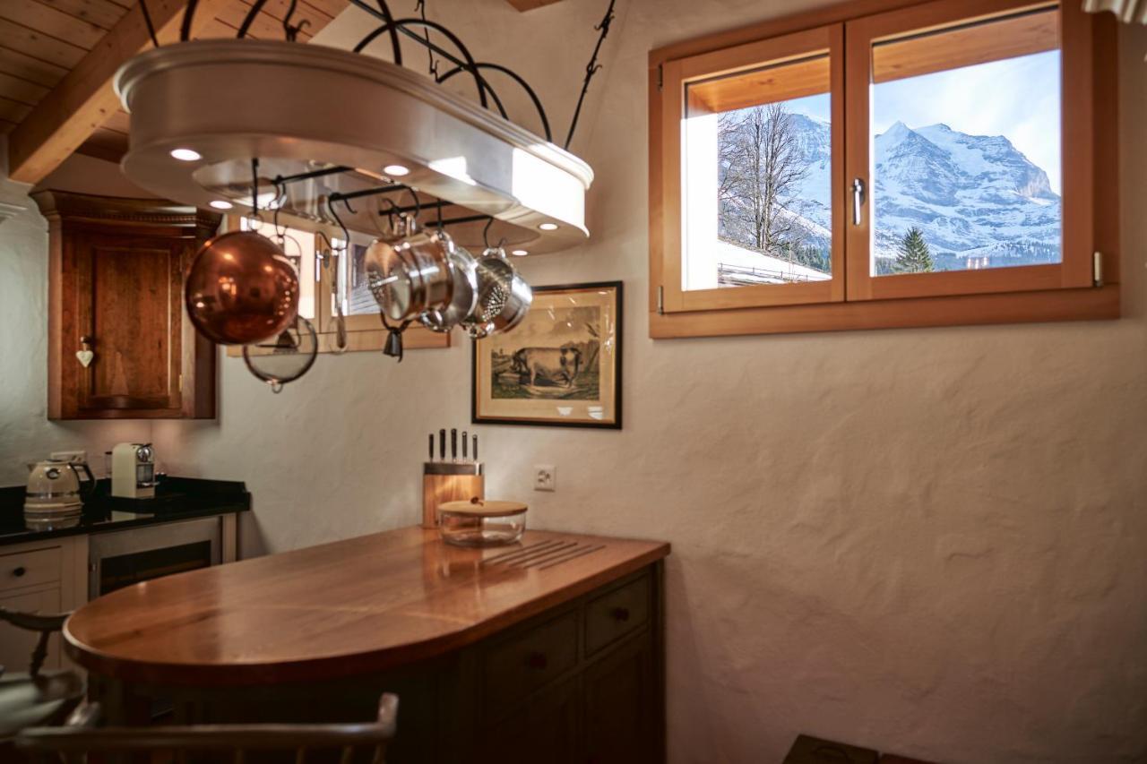 Chalet Baergsunna Penthouse Wengen Kültér fotó